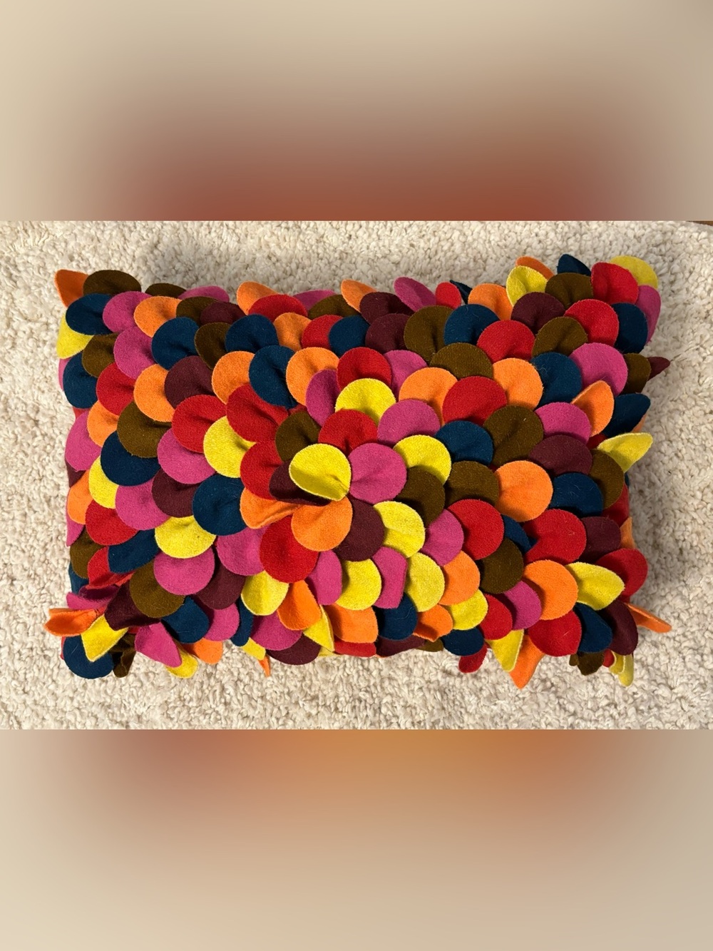 Colorful Accent Pillow by Arlee Home